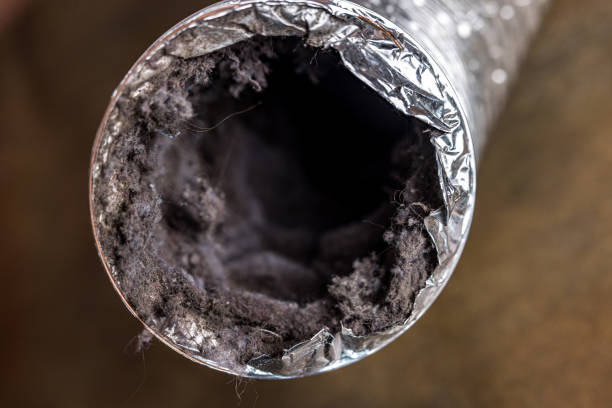 Best Local Air Duct Cleaning Services  in Monaca, PA